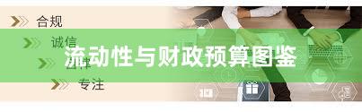 流动性与财政预算图鉴
