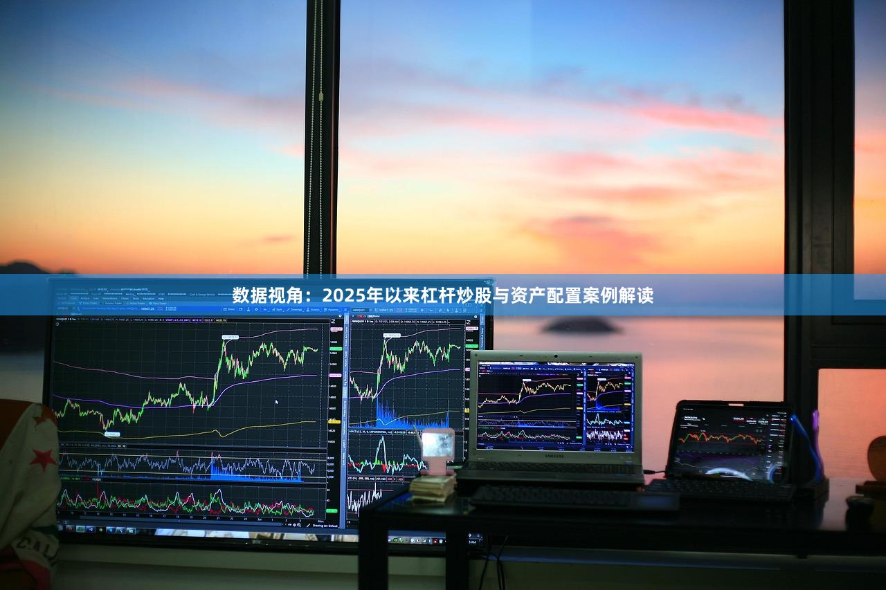 数据视角：2025年以来杠杆炒股与资产配置案例解读